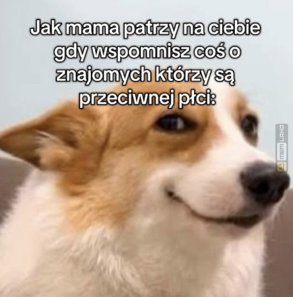 Śmieszny mem: 9839052 - MemLand