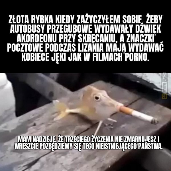 Śmieszny mem: 9843816 - MemLand