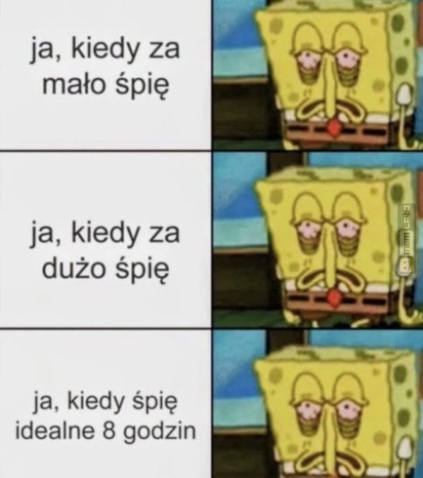 Śmieszny mem: 9845743 - MemLand