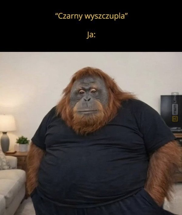 Śmieszny mem: 9847819 - MemLand