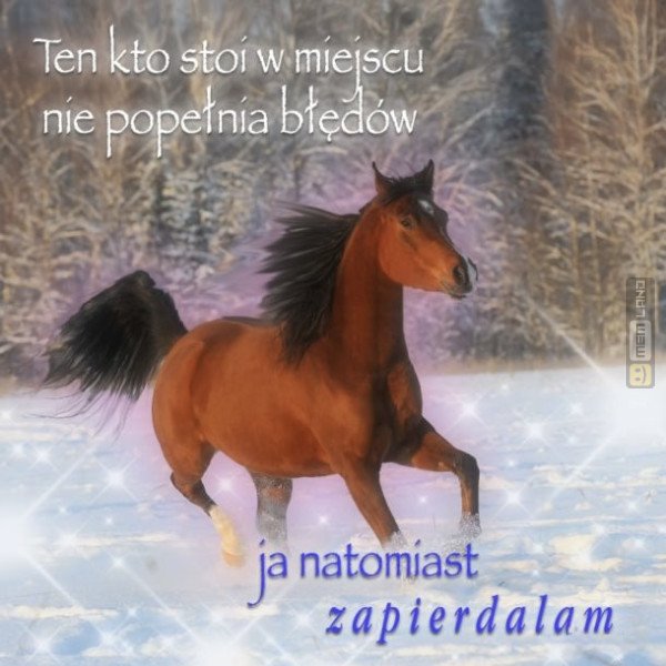 Śmieszny mem: 9848671 - MemLand