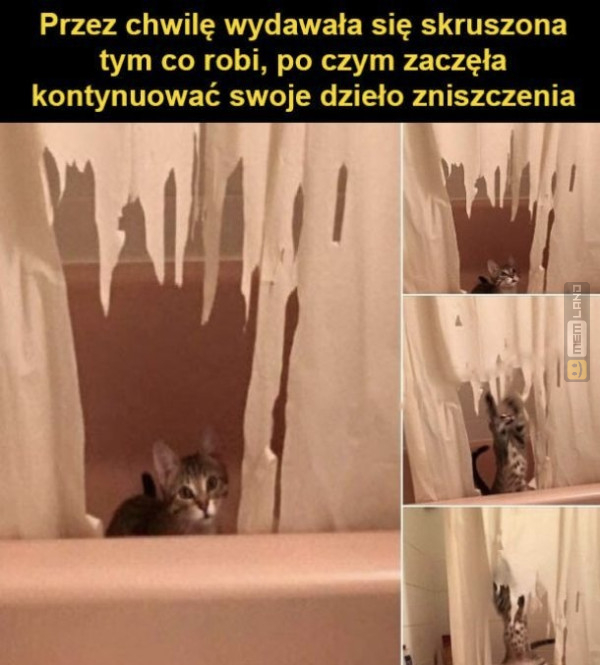 Śmieszny mem: 9850912 - MemLand