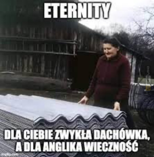 Śmieszny mem: 9856015 - MemLand