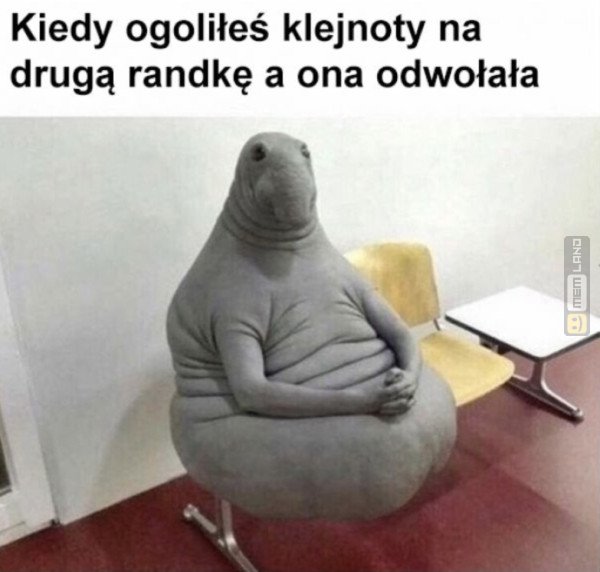 Śmieszny mem: 9857673 - MemLand