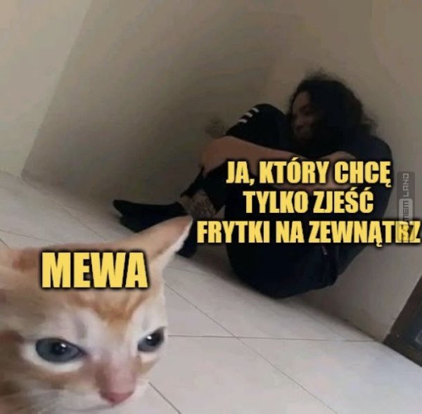 Śmieszny mem: 9866382 - MemLand