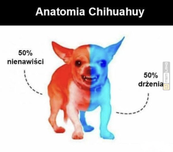 Śmieszny mem: 9874211 - MemLand