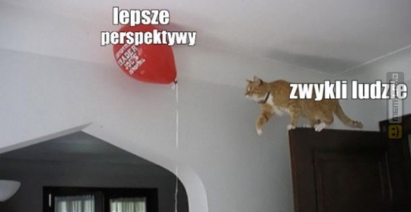 Śmieszny mem: 9883483 - MemLand