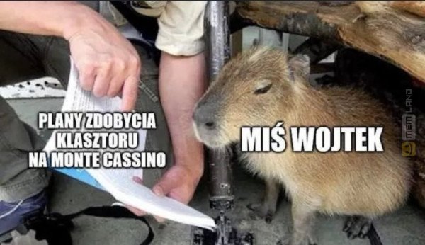 Śmieszny mem: 9892705 - MemLand