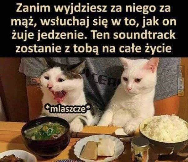 Śmieszny mem: 9913333 - MemLand