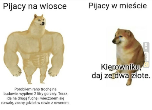 Śmieszny mem: 9919478 - MemLand