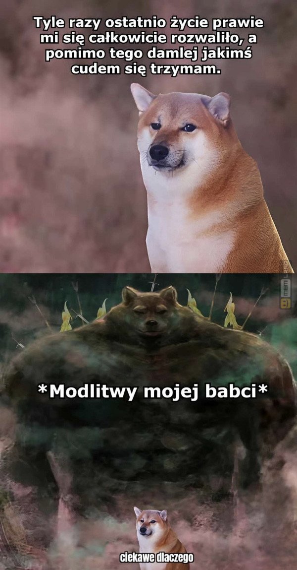 Śmieszny mem: 9923099 - MemLand