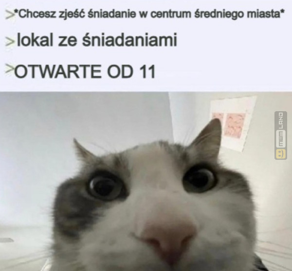 Śmieszny mem: 9938534 - MemLand