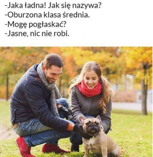 Śmieszny mem: 9938898 - MemLand