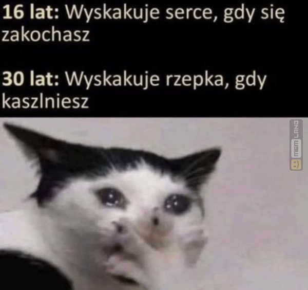 Śmieszny mem: 9945003 - MemLand