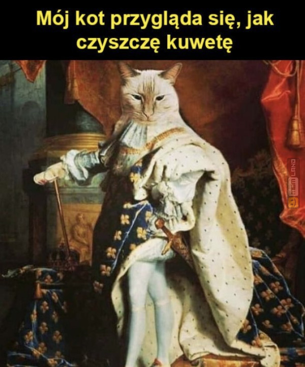 Śmieszny mem: 9950178 - MemLand