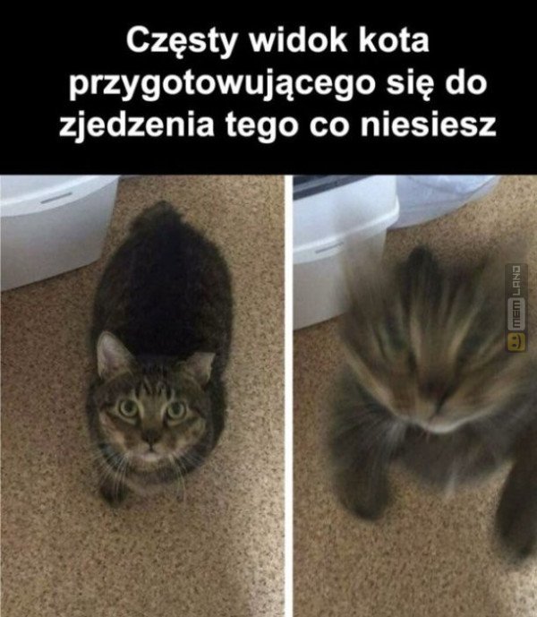 Śmieszny mem: 9976310 - MemLand