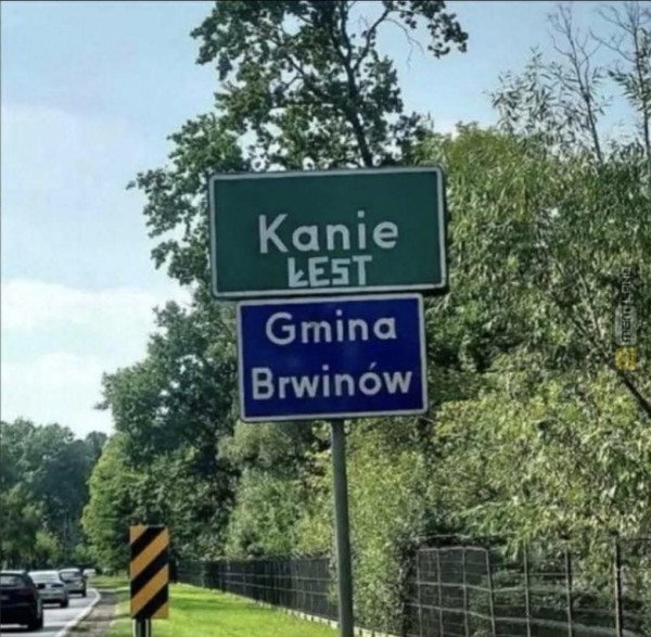Śmieszny mem: 9983195 - MemLand