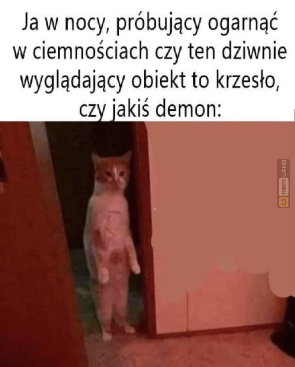 Śmieszny mem: 9987322 - MemLand