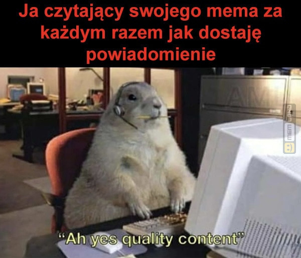 Śmieszny mem: 9988293 - MemLand