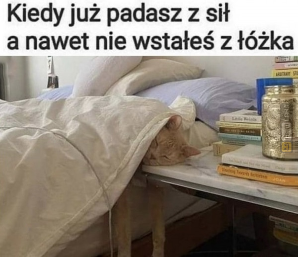 Śmieszny mem: 9991919 - MemLand