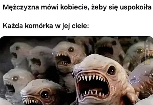 Śmieszny mem: 9996175 - MemLand